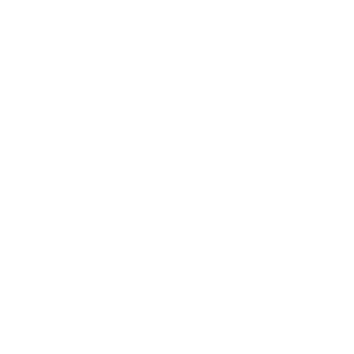 Payment Security